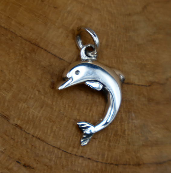 Kleiner Delfin Anhänger