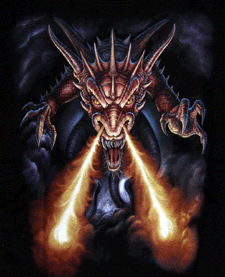 Kinder - T-Shirt Feuerdrache