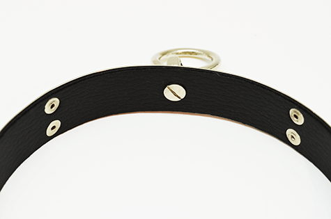 Halsband Ring der O 38-42 cm