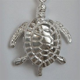 Schildkröte - Wasserschildkröte