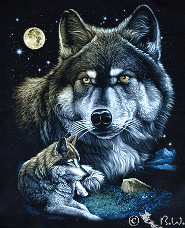 Kinder - T-Shirt Wolf - Wölfe